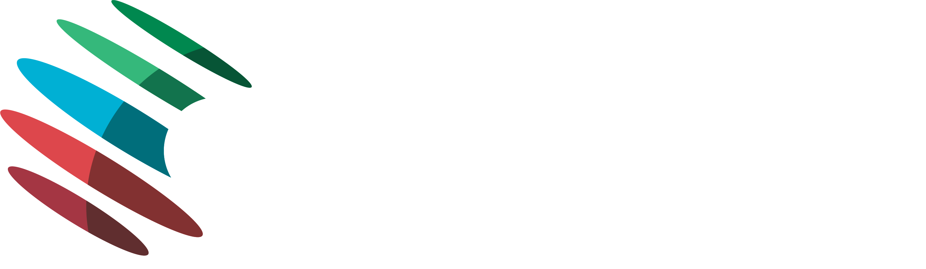 eGlobal_Management Logo white